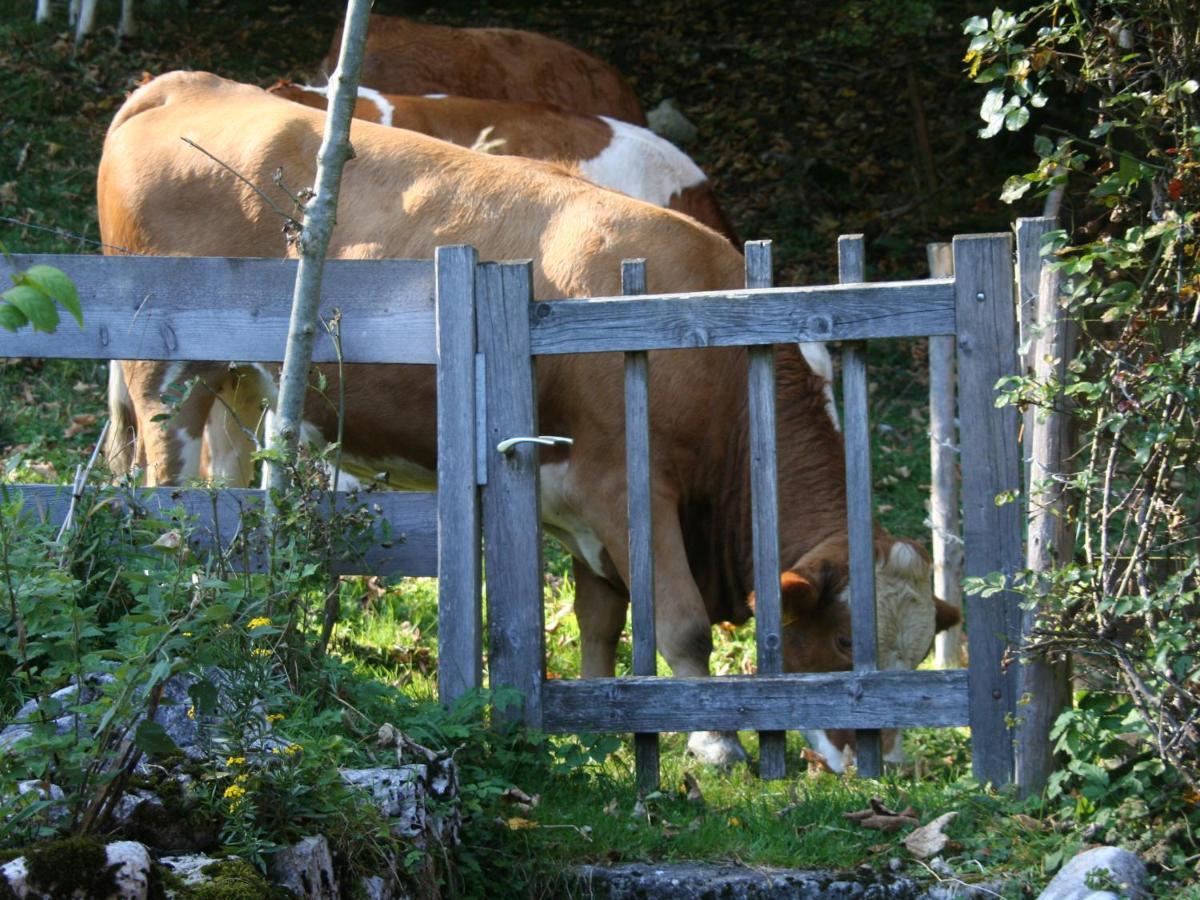 Ferienwohnungen Haus Waldwinkel Aschau im Chiemgau Exteriér fotografie