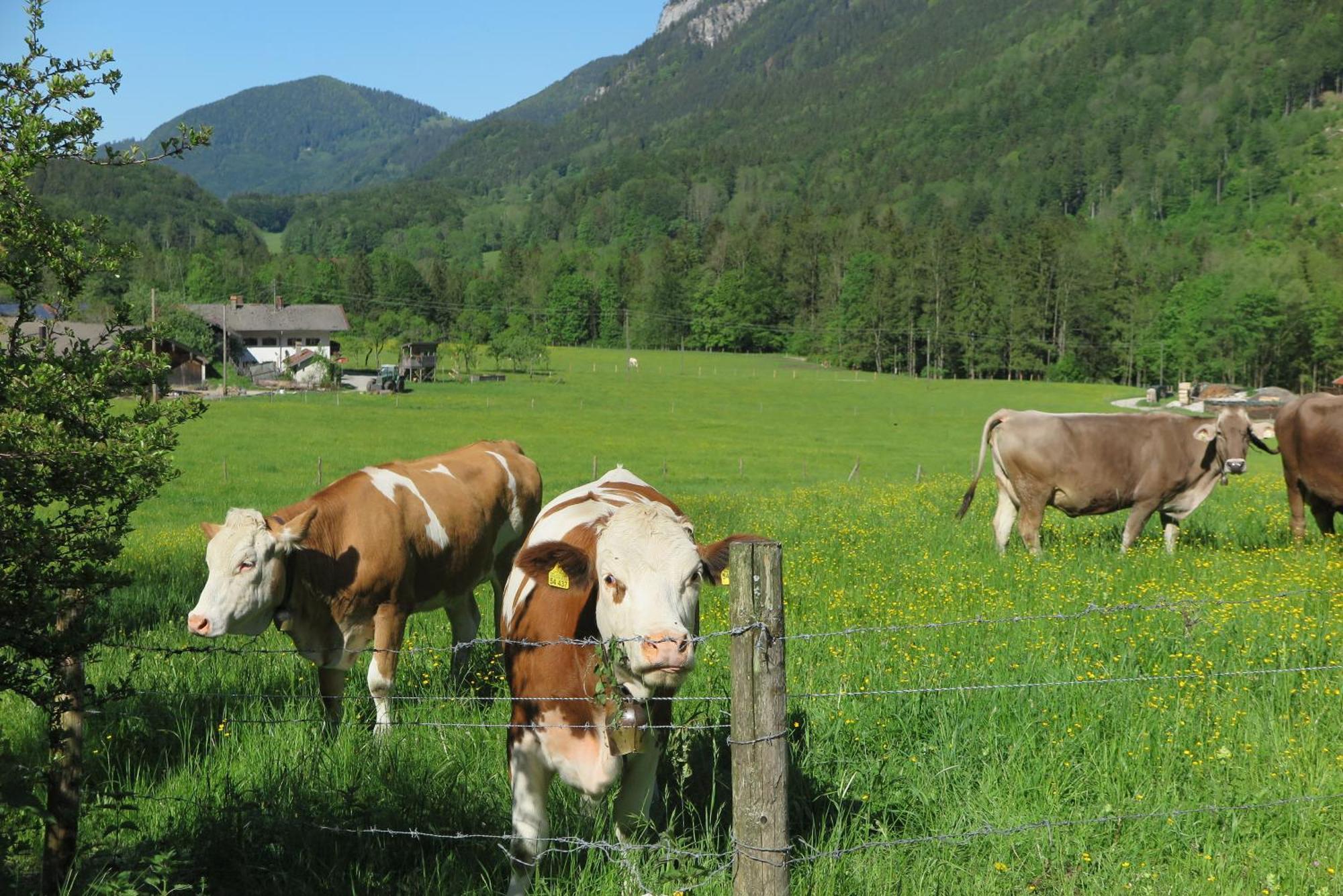 Ferienwohnungen Haus Waldwinkel Aschau im Chiemgau Exteriér fotografie
